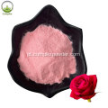 Fornecimento de pó de flor rosa puro natural chinês